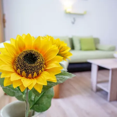 Apartman Green Forest 4+2 *